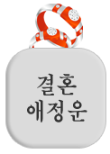 ڸ 
